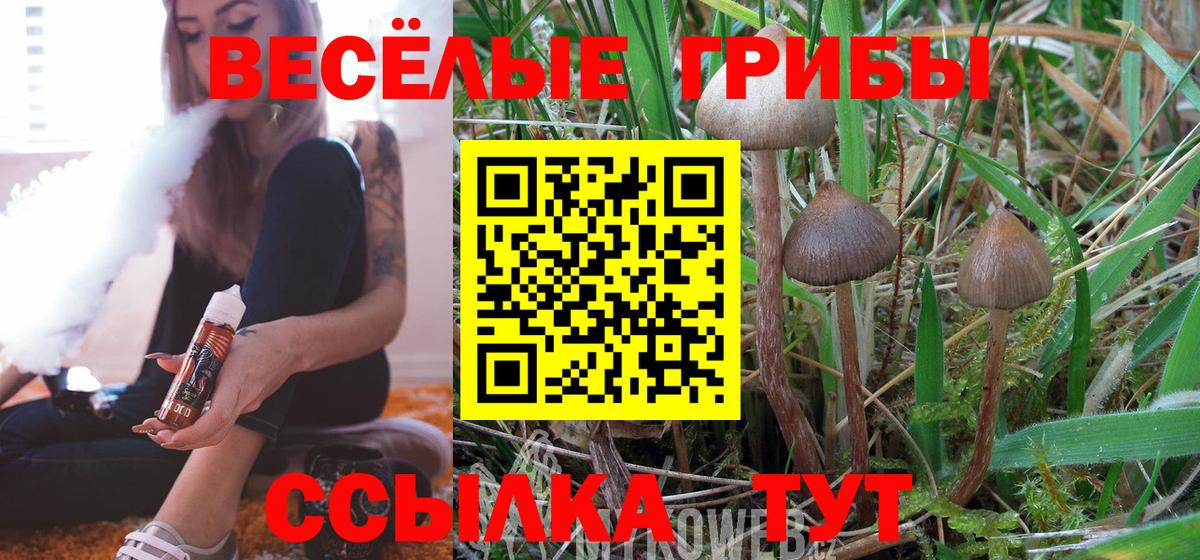 Дубна  Псилоцибиновые грибы GOLDEN TEACHER  Псилоцибиновые грибы ЛСД  Вход с VPN 